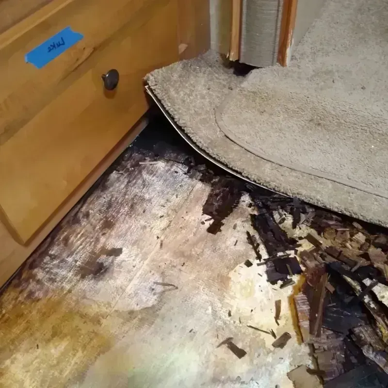 Wood Floor Water Damage in Seneca, MO